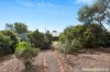 2 Drummond Street, Jervois, SA 5259-Image