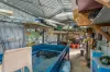 2 Eliza Street, Maaroom, Qld 4650-Image
