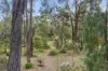 2 Ellandee Crescent, Macedon, Vic 3440-Image