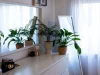 2 Elmstone Lane, Lake Gardens VIC 3355-Image