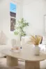 2 Flemington Road, Homebush West, NSW 2140-Image