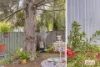 2 Fotheringham Street, Wingham, NSW 2429-Image