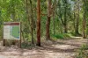 2 Geebung Court, Meridan Plains, Qld 4551-Image