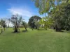 2 George Street, Ingham, Qld 4850-Image