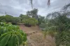 2 George Street, Muswellbrook, NSW 2333-Image