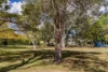 2 Gilgandra Street, Indooroopilly, Qld 4068-Image