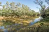 2 Gillam Road, Murchison East, Vic 3610-Image