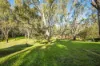 2 Gillam Road, Murchison East, Vic 3610-Image