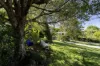 2 Griffith Lane, Buderim, Qld 4556-Image