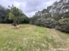 2 Hansen Crt, Kingaroy, Qld 4610-Image
