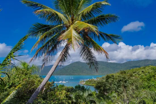 2 Harbour Avenue, Shute Harbour, Qld 4802