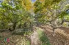 2 Hay Street, Lithgow, NSW 2790-Image