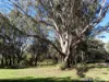 2 Heber Street, Moree, NSW 2400-Image