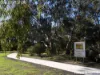 2 Heber Street, Moree, NSW 2400-Image