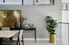 2 Hezlet Street, Chiswick, NSW 2046-Image