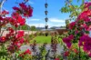 2 Ingles Street, Mossman, Qld 4873-Image