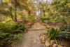 2 Jacka Road, Avonsleigh, Vic 3782-Image