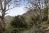 2 James Street, Rangeville, Qld 4350-Image