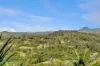 2 Jocelyn Drive, Eumundi, Qld 4562-Image