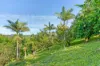 2 Jocelyn Drive, Eumundi, Qld 4562-Image