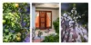 2 Jordan Avenue, Fulham Gardens, SA 5024-Image