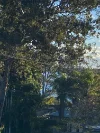 2 June Parade, Lamb Island, Qld 4184-Image