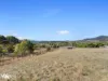 2 Kadina Road, Cambridge, Tas 7170-Image