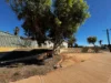 2 Keillor Place, Exmouth WA 6707-Image