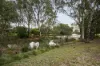 2 King Circuit, Caroline Springs, Vic 3023-Image