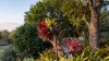 2 Kythera Place, Elland, NSW 2460-Image