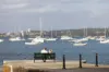 2 Little Street, Mosman, NSW 2088-Image