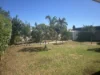 2 Macquarie Court, Mildura, Vic 3500-Image