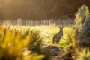 2 Main South Road, Myponga, SA 5202-Image