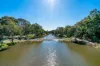 2 Manning Street, Lockleys, SA 5032-Image