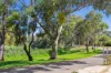 2 Manning Street, Lockleys, SA 5032-Image