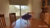 2 McDougall Street, Tincurrin, WA 6361-Image
