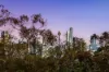 2 McMahons Road, Longueville, NSW 2066-Image