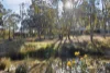 2 McMillan Road, Green Gully, Vic 3462