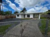 2 Mendelsohn Cl, Gordonvale, Qld 4865-Image