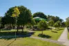2 Midmar Court, Keperra, Qld 4054-Image