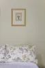 2 Milton Street, Hamilton, Vic 3300-Image