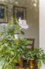 2 Milton Street, Hamilton, Vic 3300-Image