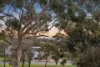 2 Montrose Place, Beaumont, SA 5066-Image