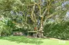 2 Mountain View Drive, Inverness, Qld 4703-Image