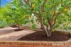 2 Nepean Place, Willetton, WA 6155-Image