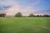 2 Netley Avenue, Lockleys, SA 5032-Image