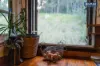 2 Newinga Road, Wolvi, Qld 4570-Image