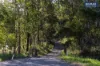 2 Newinga Road, Wolvi, Qld 4570-Image
