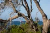 2 Northaven Avenue, Bawley Point, NSW 2539-Image
