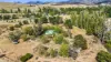 2 Ovens Street, Bredbo NSW 2626-Image
